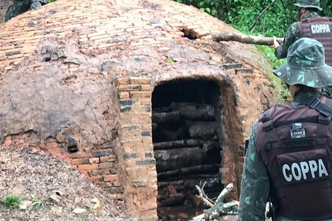 Polícia desarticula serraria e carvoaria ilegais em Pojuca