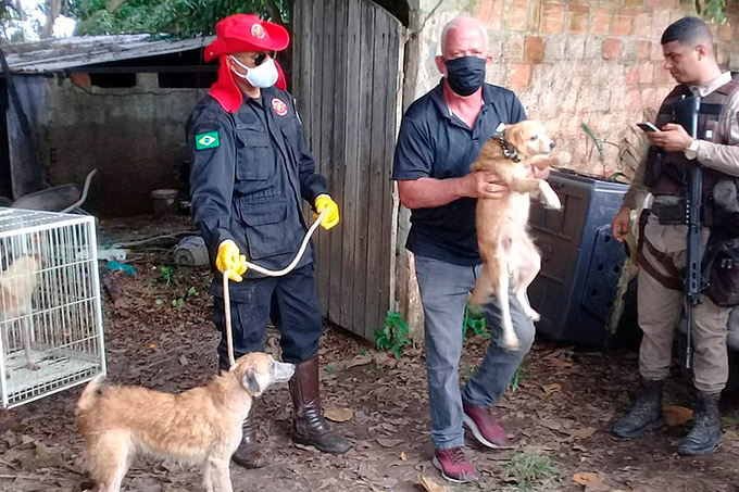'Sem água e comida há meses', 50 animais são encontrados em casa abandonada