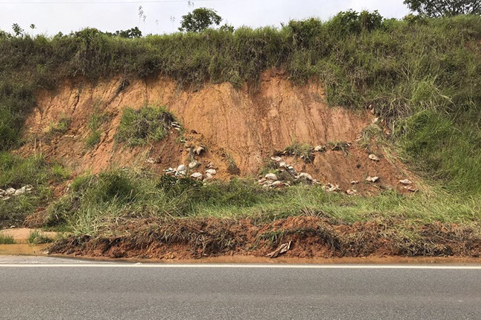 Chuva causa deslizamento de terra na BA-093 em Dias d'Ávila