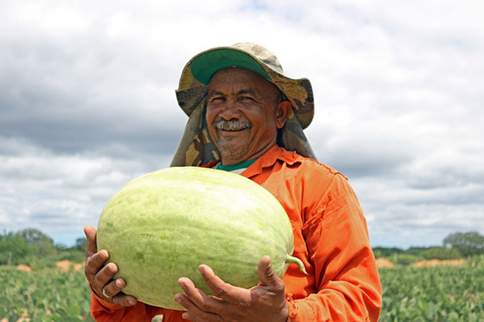 Governo lança edital de R$ 15 mi para beneficiar agricultores familiares 