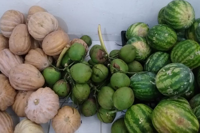 Instituições e famílias carentes recebem cestas do PAA em Dias d’Ávila