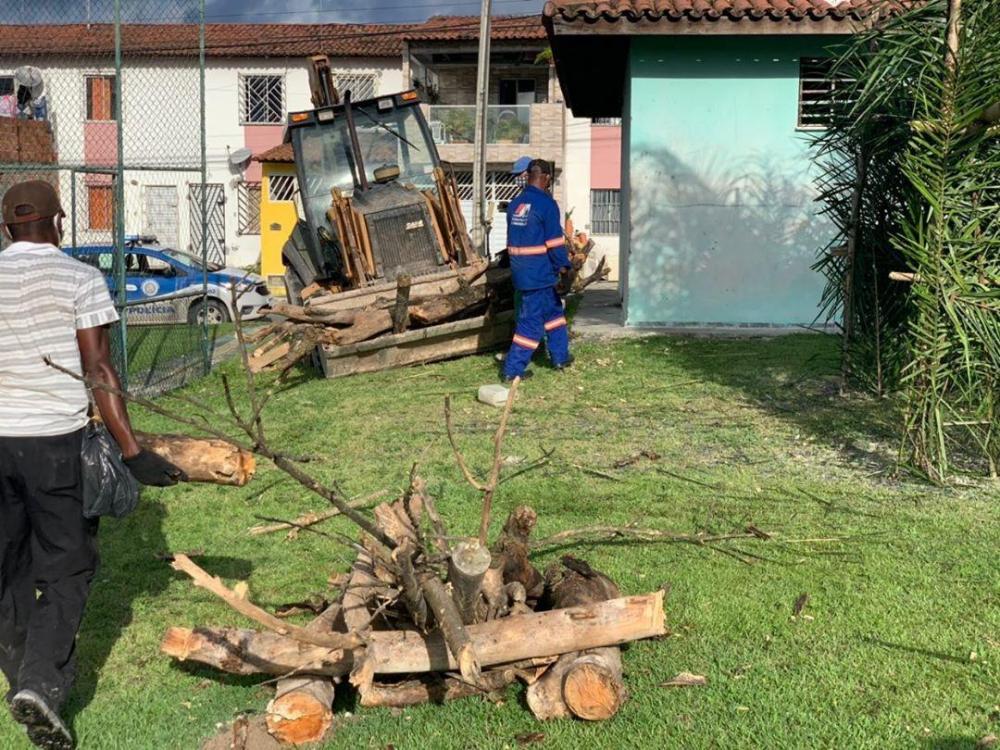 Dois caminhões com madeiras são apreendidos em Dias d'Ávila