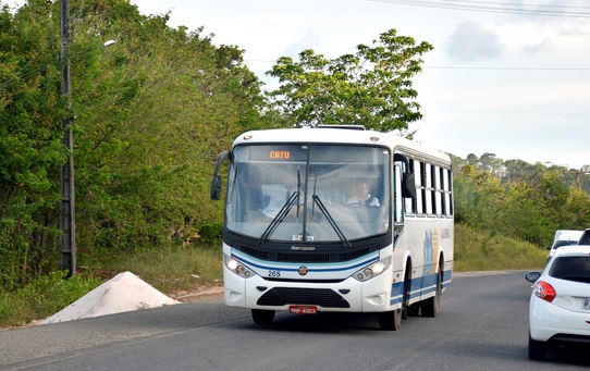 Bahia tem mais três cidades com transporte suspenso; total chega a 347