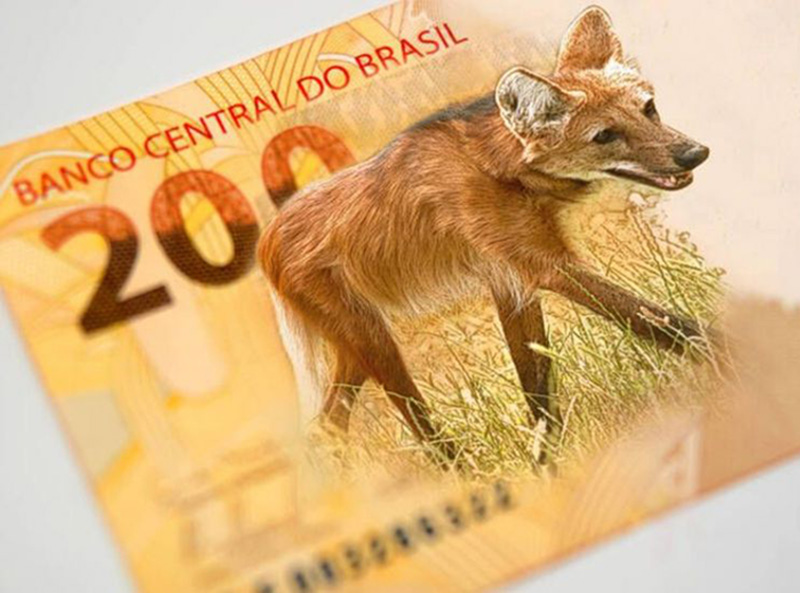 Nova nota de R$ 200 começa a circular nesta quarta