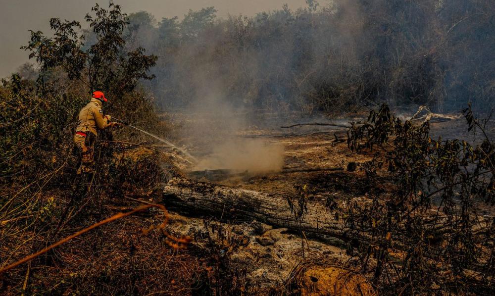 Governo federal oferece ajuda para conter queimadas no Pantanal