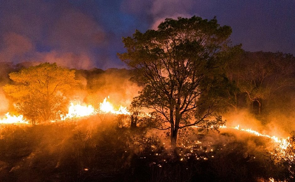 Incêndios levam Mato Grosso do Sul a decretar situação de emergência