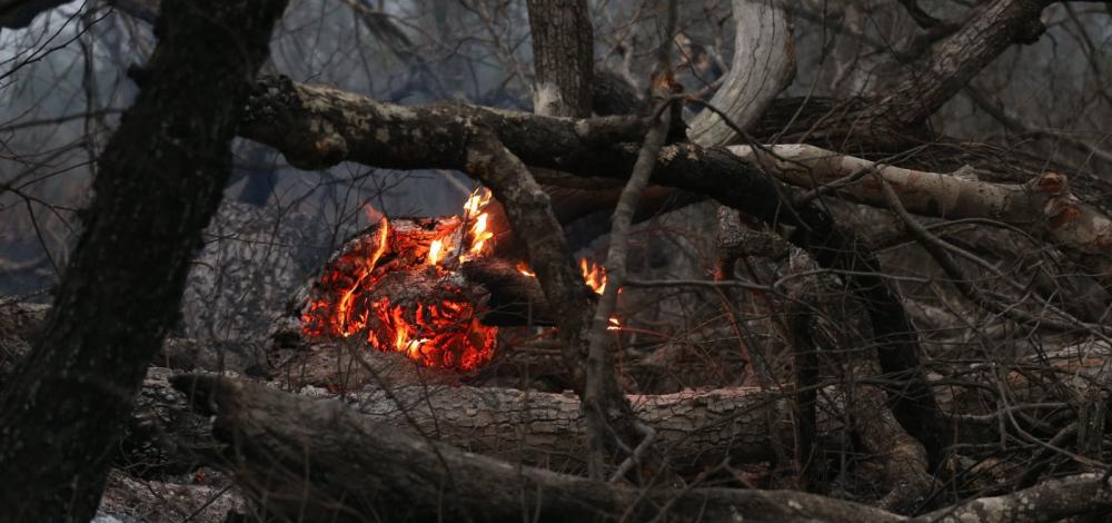 Fumaça das queimadas na Amazônia e no Pantanal atinge países vizinhos