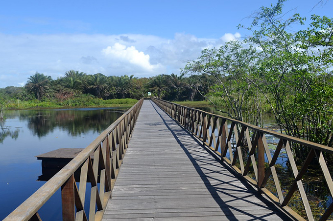 Parque Klaus Peters comemora sete anos dedicados à conservação da biodiversidade matense