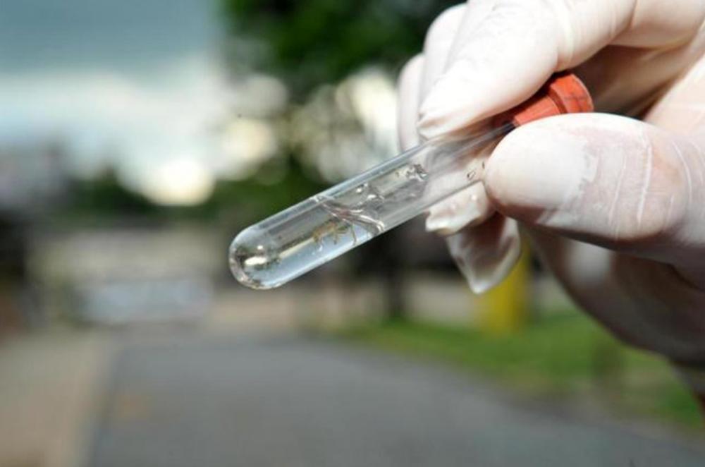 Bahia tem quase metade de todos os casos de chikungunya do Brasil