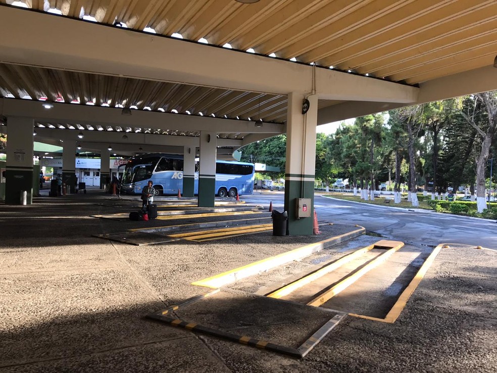 Veja os 114 municípios que terão transporte intermunicipal liberado na Bahia