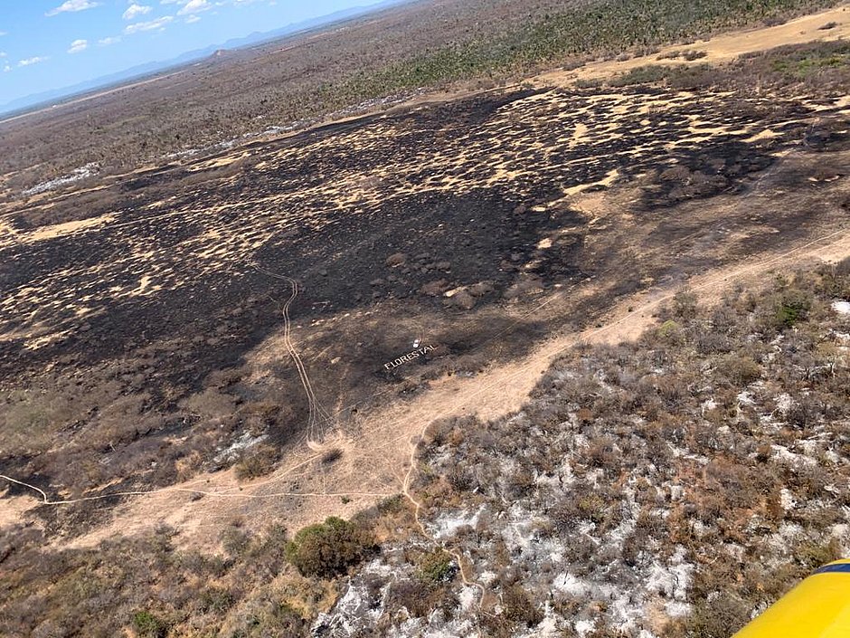 Combate a incêndio em Barra chega ao décimo dia