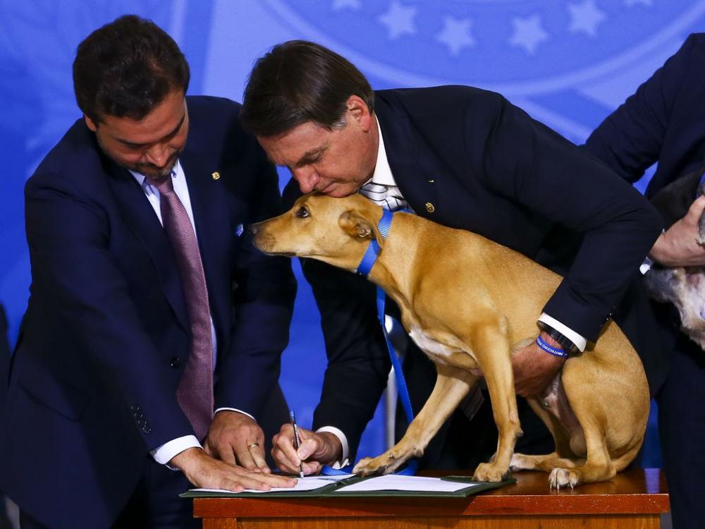 Bolsonaro sanciona, sem vetos, lei que aumenta pena para quem maltratar cães e gatos