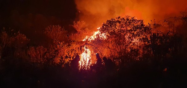 Incêndio que atinge Chapada Diamantina tem indícios de crime ambiental