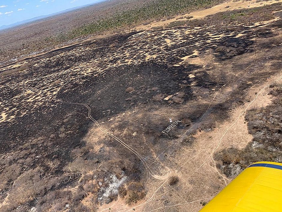 Incêndios florestais: Bahia decreta situação de emergência em 73 municípios