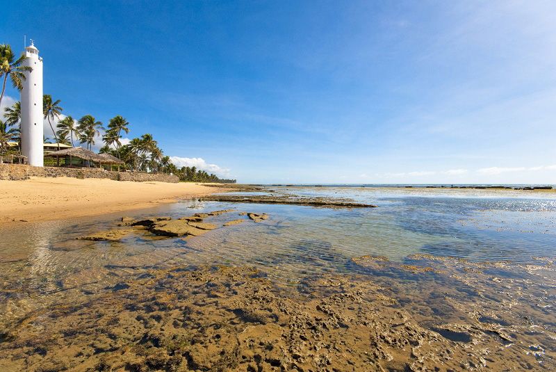 Carta pede que candidatos a prefeito valorizem patrimônio natural em Mata de São João