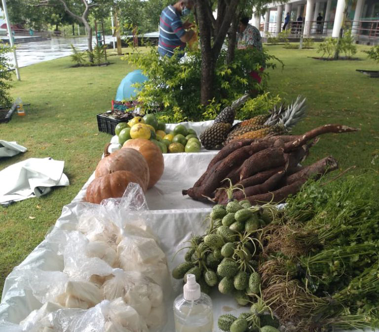 Agricultores retomam comércio de alimentos orgânicos em Dias d'Ávila