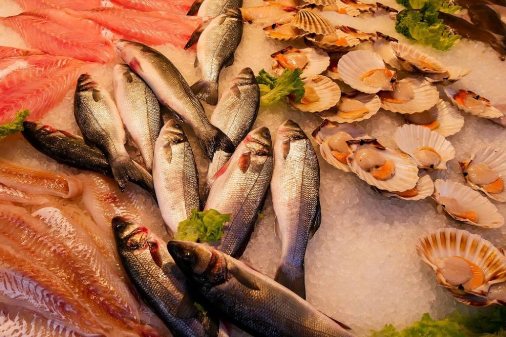 Bahia registra novos casos da doença de Haff e 80% das infecções tem relação com peixe