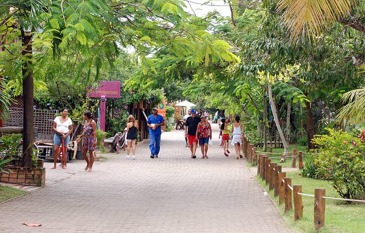 Praia do Forte terá restrição de veículos em janeiro