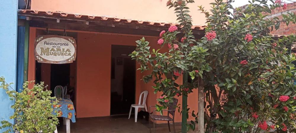 'Pés de maconha encontrados em Santo Antonio não pertenciam a restaurante', afirma usuário