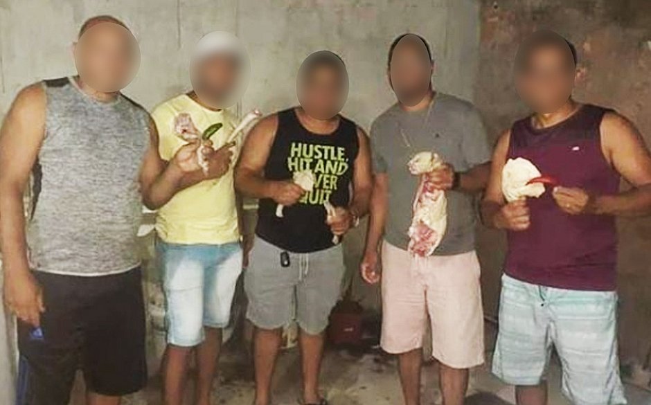 Amigos fazem churrasco com carne de gato e exibem na internet em Camaçari