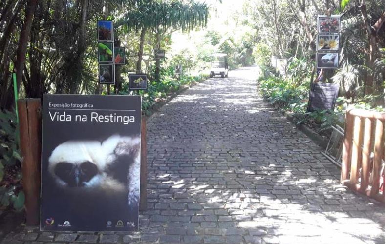 Belezas do Parque Klaus Peters são exibidas em condomínios até próxima quinta