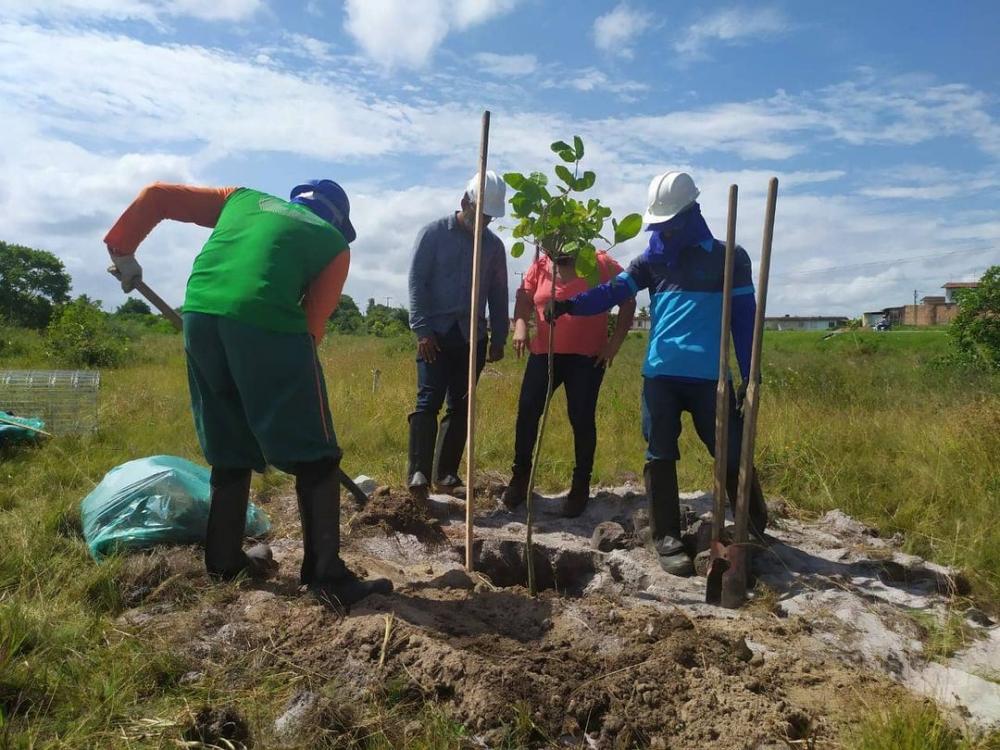Prefeitura de Dias d'Ávila inicia recomposição florestal na bacia do Rio Imbassaí