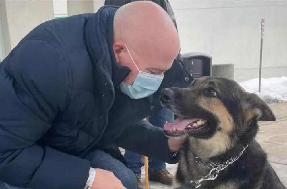 Homem adota cachorro rejeitado por três abrigos e cão salva a sua vida 