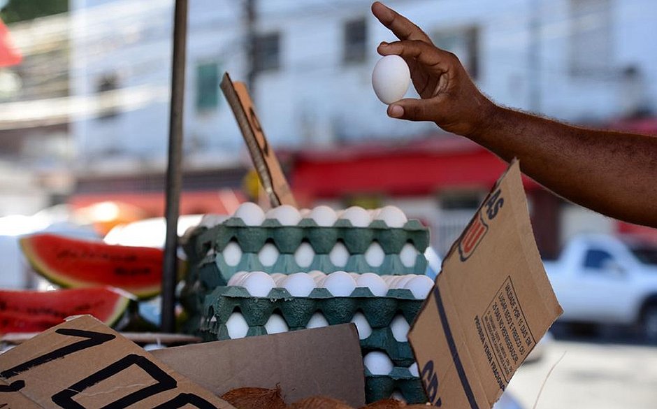 Mesmo com recorde de produção em 19 anos, preço do ovo aumenta na Bahia
