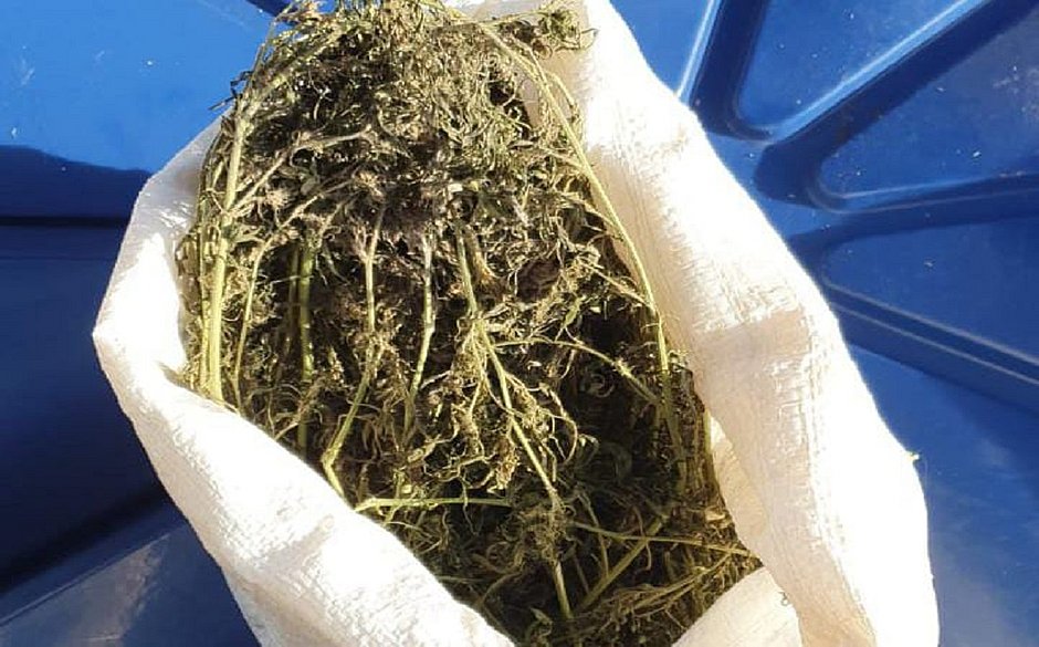 SSP prende dois policiais civis envolvidos com tráfico de drogas