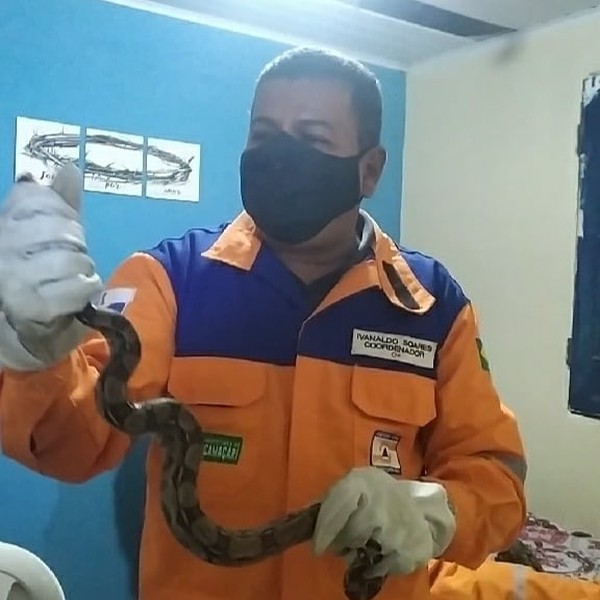 Em uma tarde, duas cobras são resgatadas em residências de Camaçari