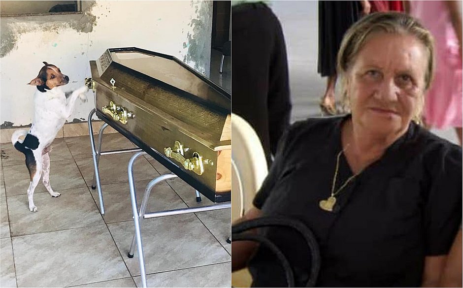 Cachorro chora ao lado de caixão e acompanha velório da tutora em Camaçari