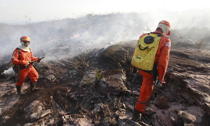 Ibama vai abrir 1.659 vagas temporárias para atendimento de emergências ambientais