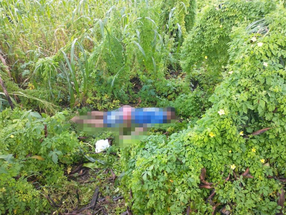 Corpo de homem é encontrado em matagal às margens da BA-099