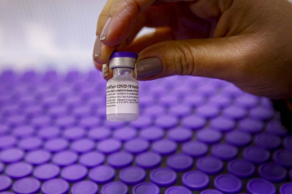 Pfizer entrega mais 1 milhão de doses ao Brasil neste domingo