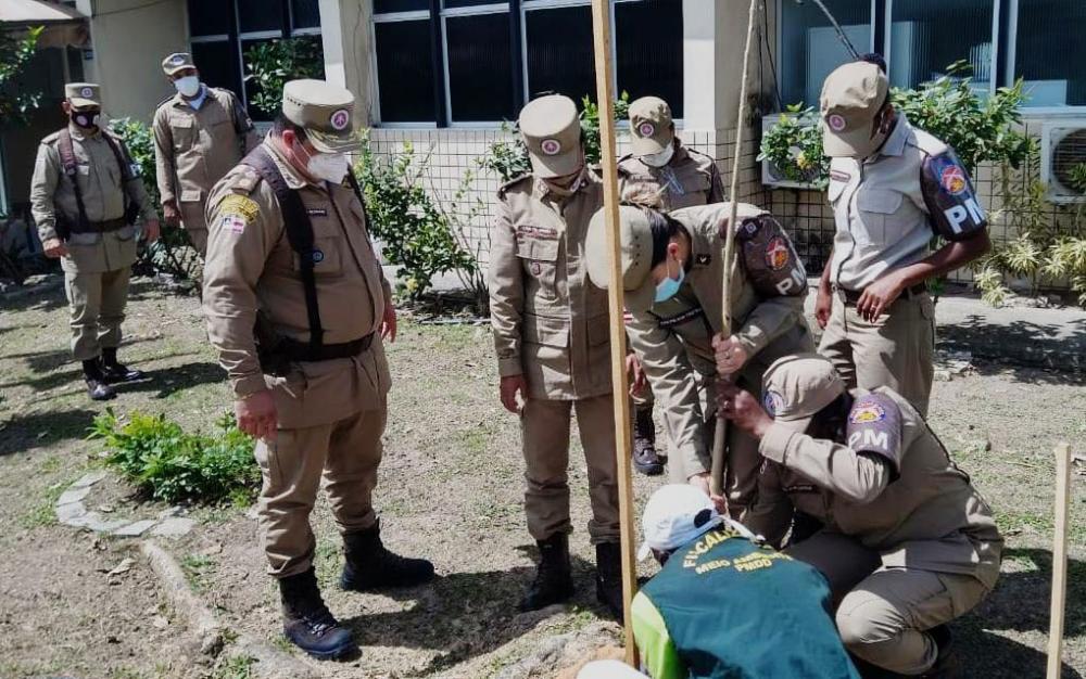 Policiais militares da 36ª CIPM realizam plantio de mudas em Dias d'Ávila