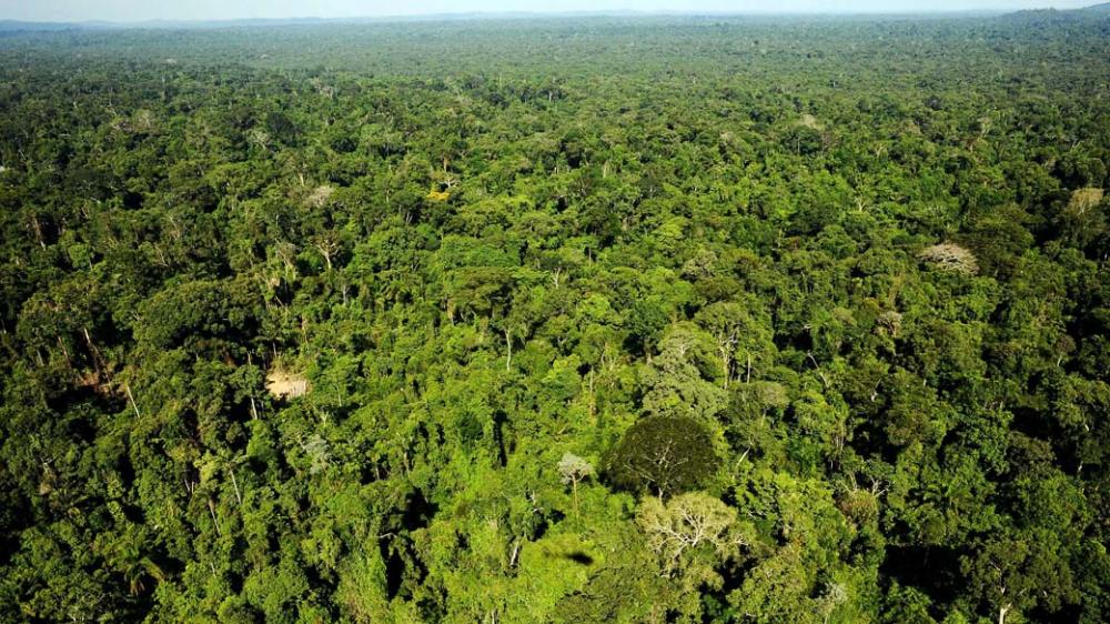 Governo reconhece maior área de proteção ambiental privada da Bahia