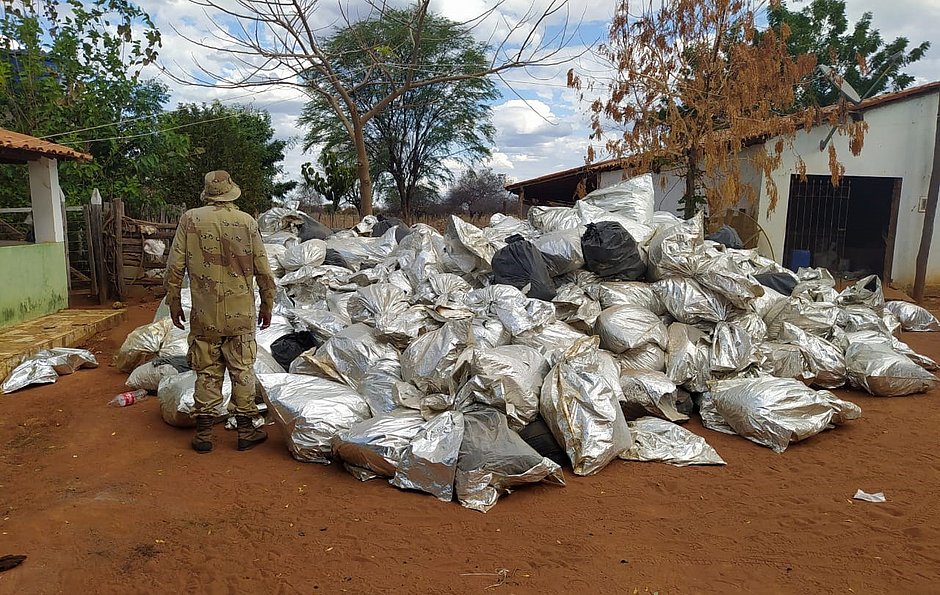 Mais de 8 toneladas de maconha são apreendidas no oeste da Bahia