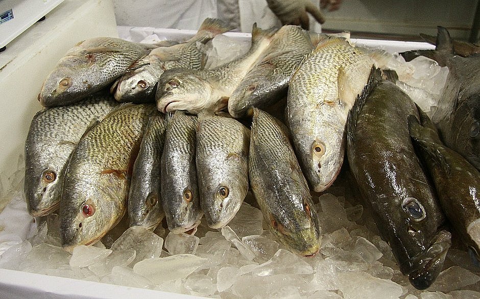 Bahia registra 13 casos da doença da doença de Haff