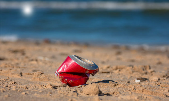 Dia Mundial da Limpeza será realizado neste sábado em Praia do Forte