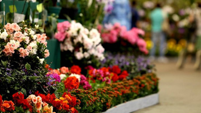 Mata de São João realizará Feira da Primavera no Parque da Cidade