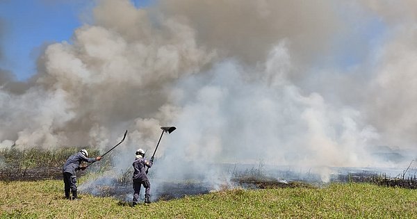 Bombeiros combatem ao menos 7 focos de incêndio florestal na Bahia