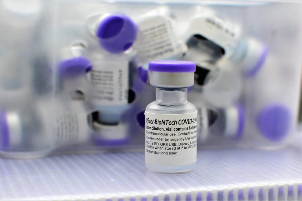 Pfizer completa 100 milhões de doses da vacina entregues ao Brasil