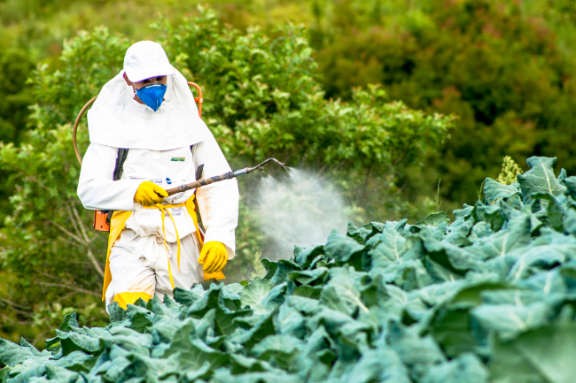 Novo decreto do governo federal deve simplificar registros de defensivos agrícolas
