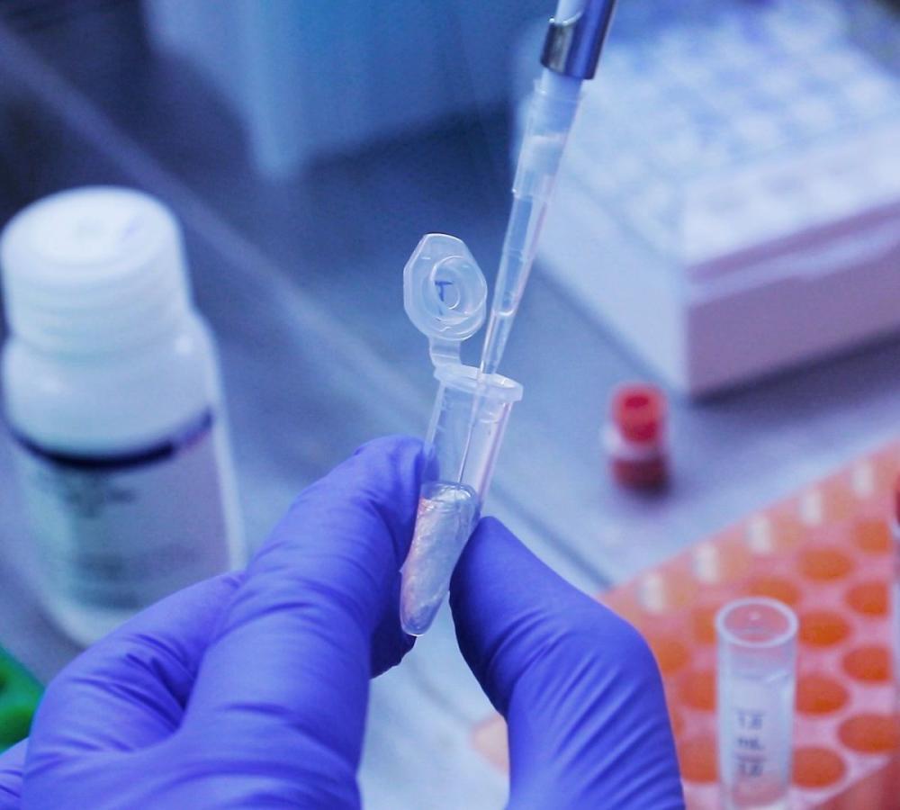 Nos Estados Unidos, nova variante Ômicron já foi confirmada em 15 estados