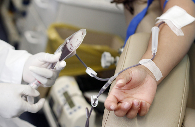 Hemoba intensifica coleta de sangue para abastecer cidades atingidas pela chuva