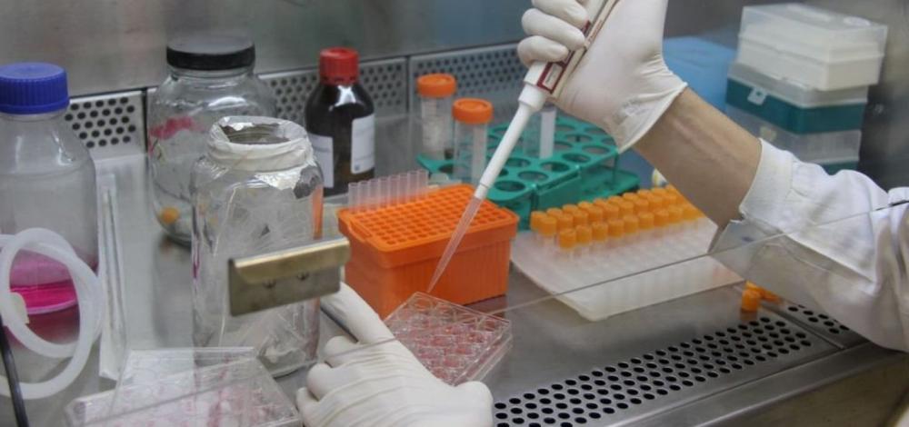 Variante ômicron já concentra 72% dos casos no mundo
