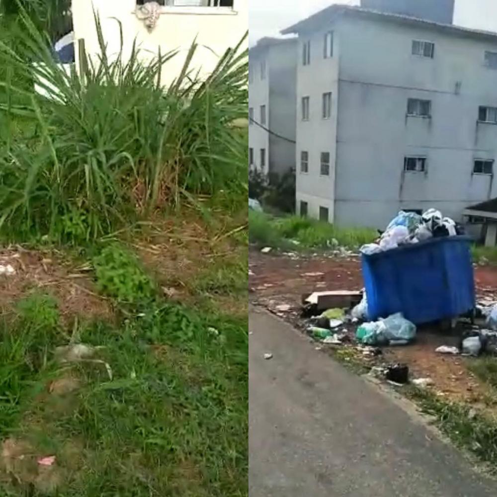 Imbassai: moradores reclamam da falta de poda e limpeza em condomínio 