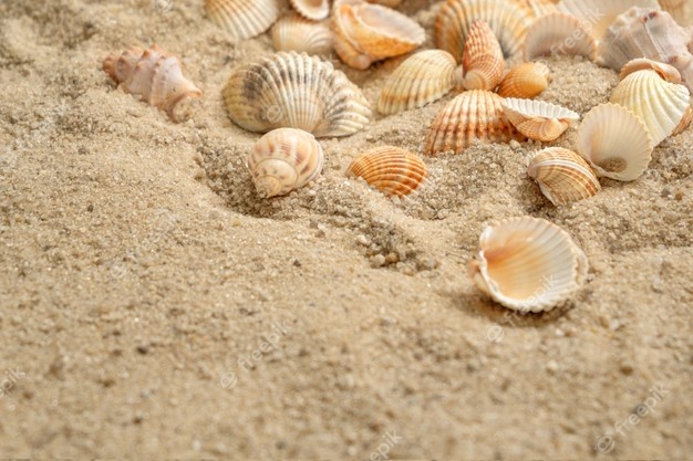 Verão e Praia