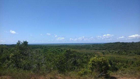 Jovem é assassinado a tiros próximo ao Mirante de Imbassai
