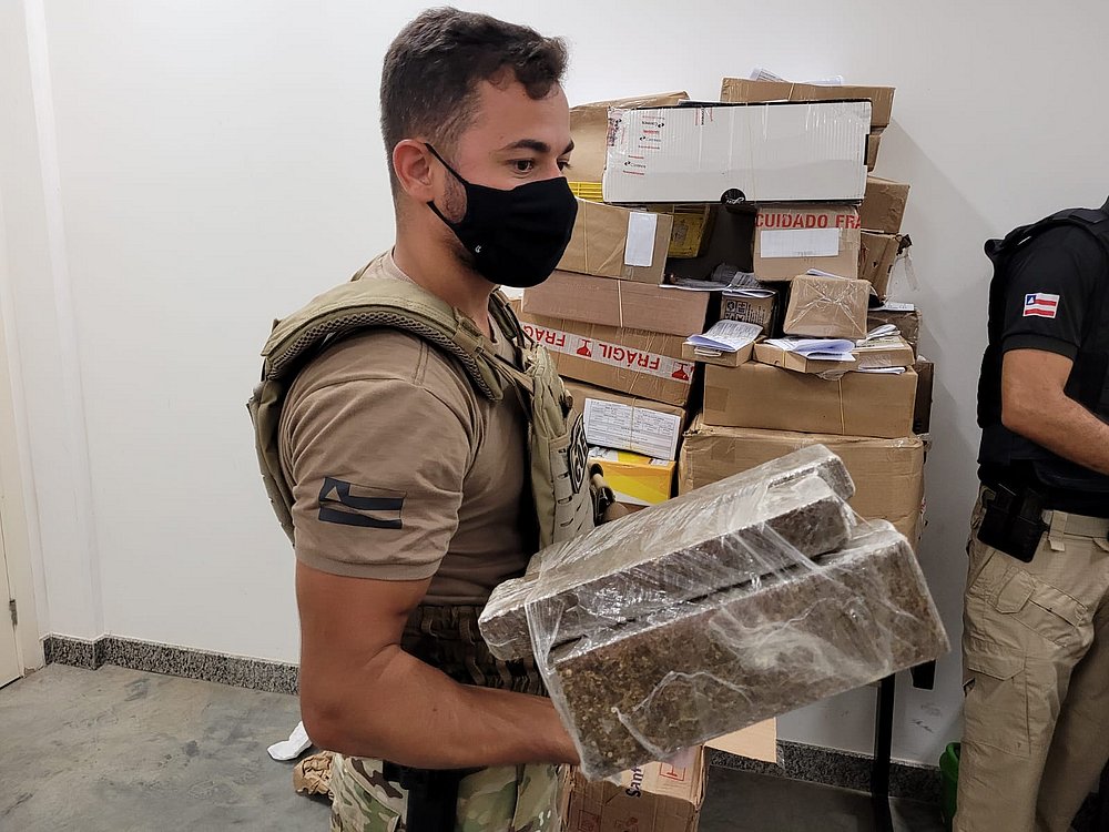Cães farejadores encontram R$ 100 mil em drogas em encomendas dos Correios